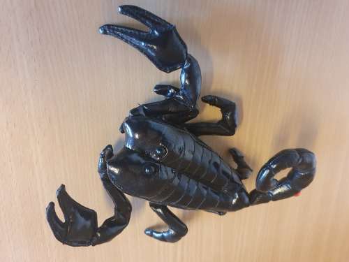 Trudi Scorpion, Black - Made in Italy