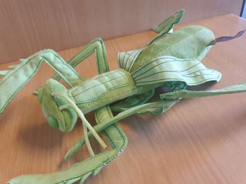 Trudi Praying Mantis - Made in Italy