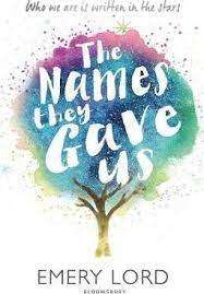 The Names They Gave Us: Emery Lord (Paperback)