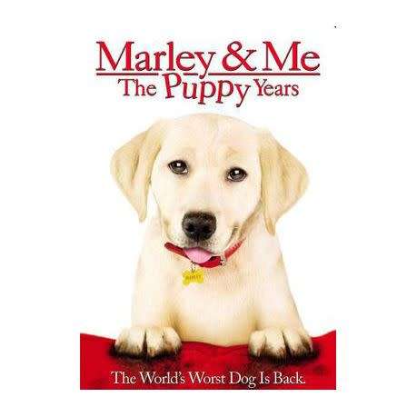 Marley and Me - The Puppy Years - Dvd