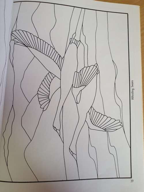 Bird Designs Stained Glass Pattern Book : Carolyn Relei (Paperback)