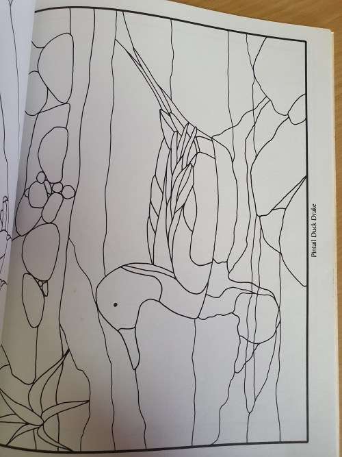 Bird Designs Stained Glass Pattern Book : Carolyn Relei (Paperback)