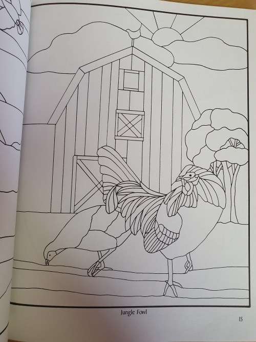 Bird Designs Stained Glass Pattern Book : Carolyn Relei (Paperback)