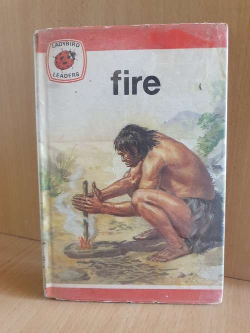 Ladybird Leaders - Fire