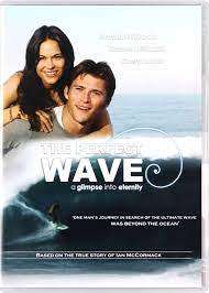 The Perfect Wave - Dvd