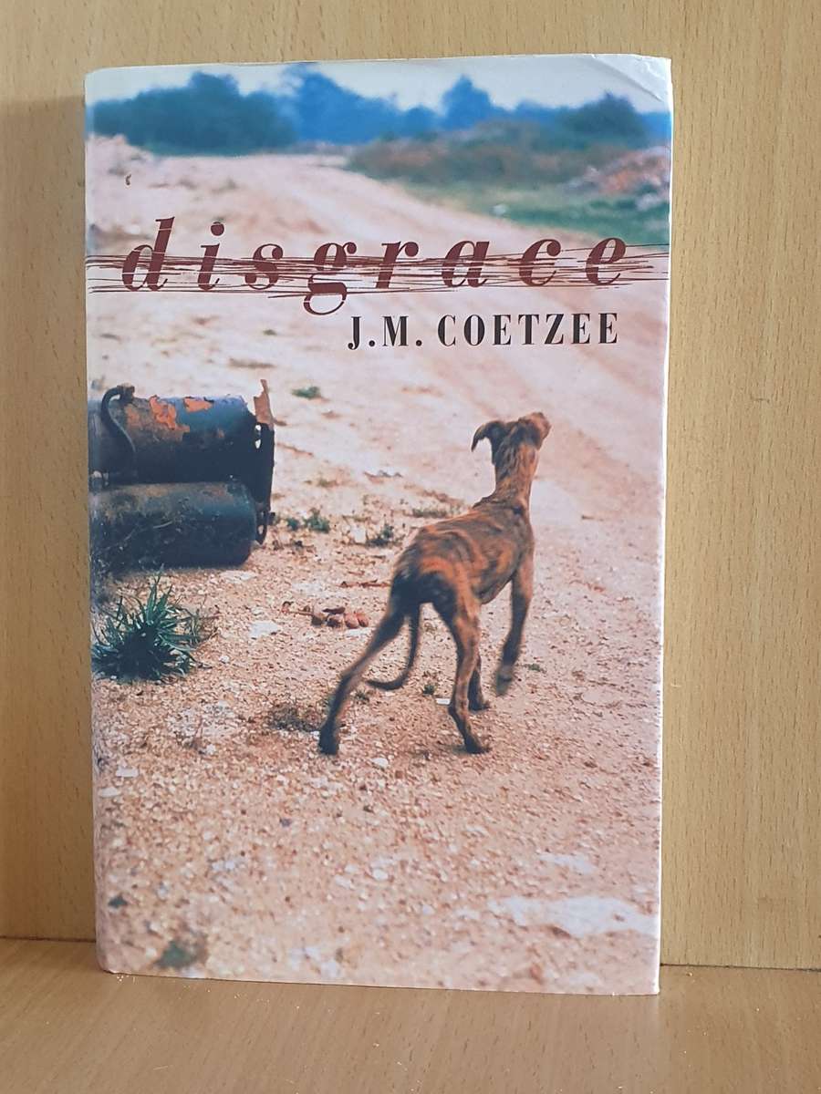 Disgrace: J.M. Coetzee (Hardcover)
