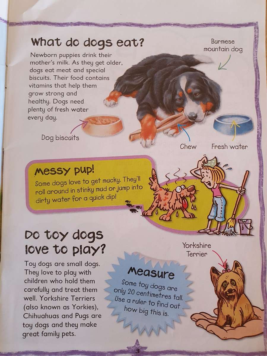 Miles Kelly Little Press - Dogs & Puppies