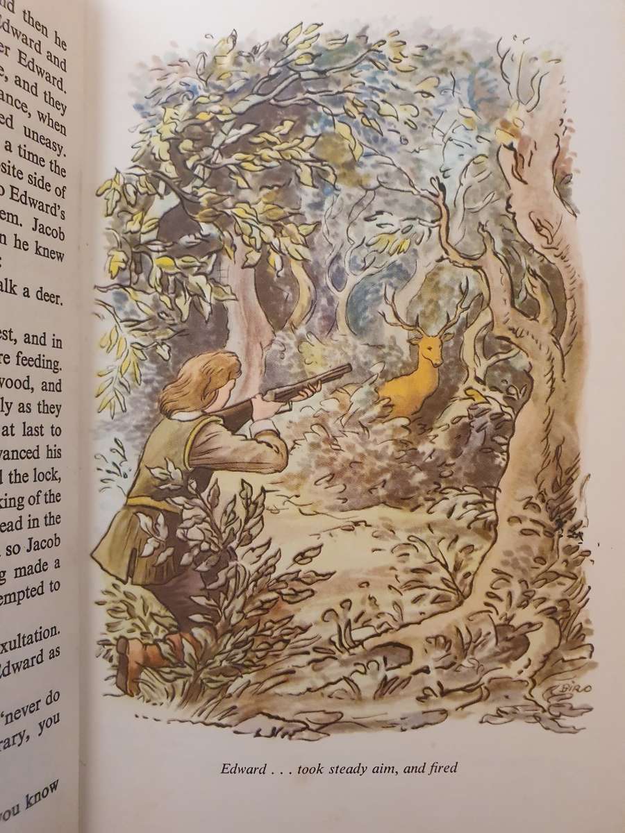 Children of the New Forest: Captain Marryat (Hardcover)