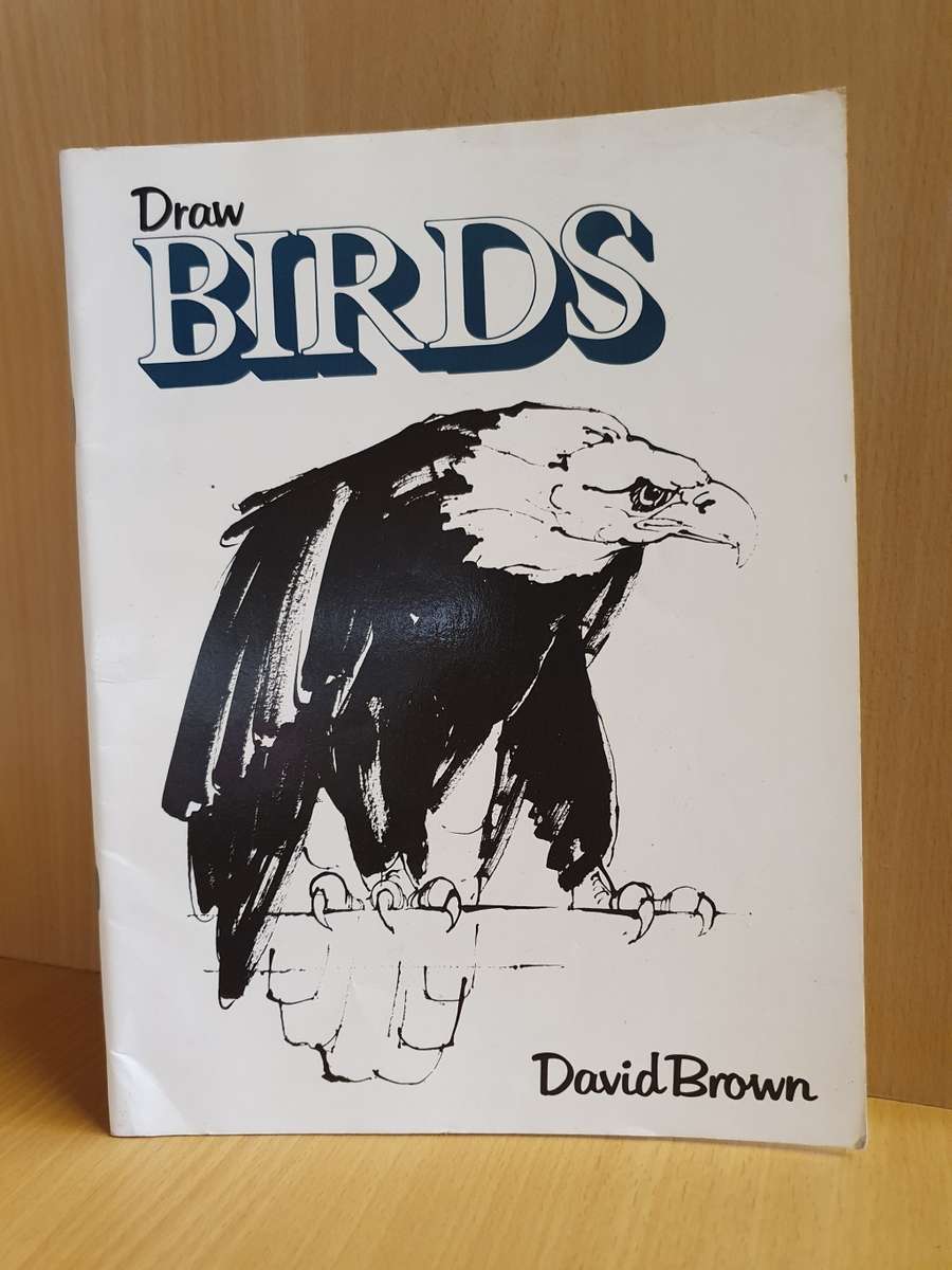 Draw Birds : David Brown (Paperback)