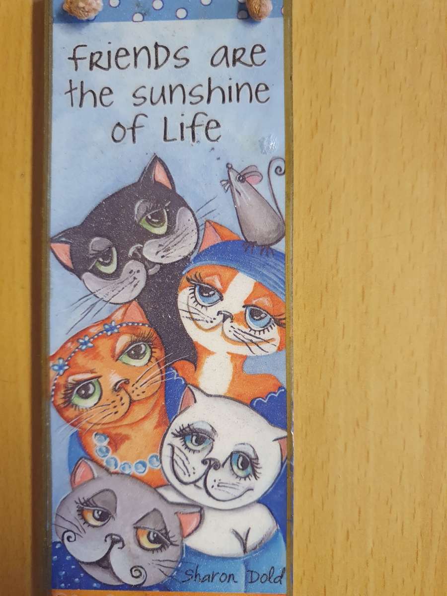 Friends are the Sunshine of Life - 16cm x 6cm