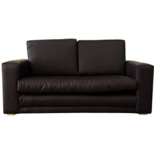 baby  or pet sleeper couch