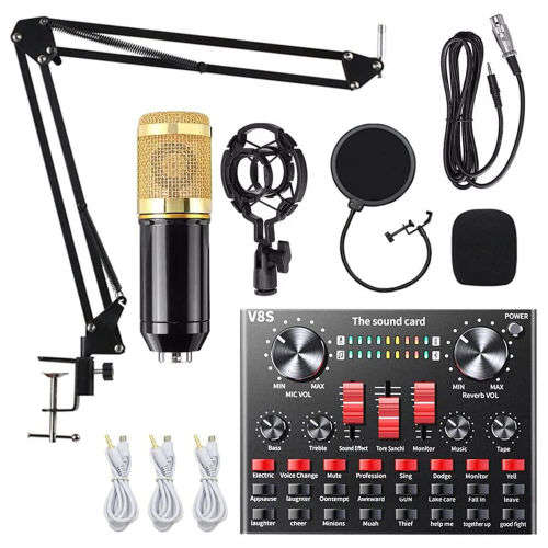 Professional Condenser Microphone BM800