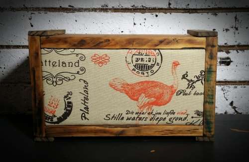 30W Valve/Tripath Hybrid Speaker