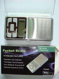 Pocket scale