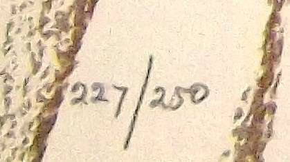 Bettie Cilliers-Barnard. GATHERING OF THE WOMEN, Hand printed silkscreen.