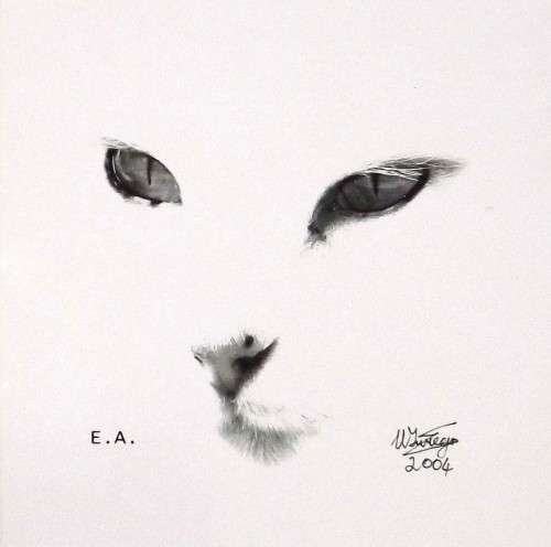 Werner Swiegers. CAT. Hand printed photo, pen signed, numbered e.a. in letteraset.