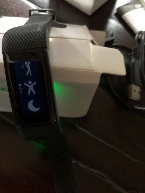 Garmin Approach X40 Golf GPS