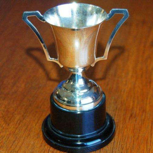 Small Silver Plated Trophy - NO INSCRIPTION - Height 120mm