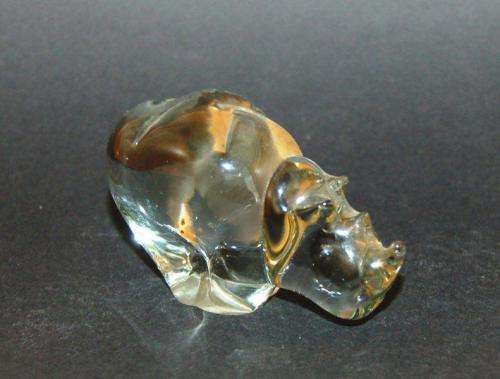 Ngwenya Glass - Rhino & Widebeest - Height 55mm