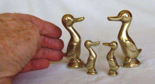 Family of 4 Solid Brass Ducks - Tallest 70mm