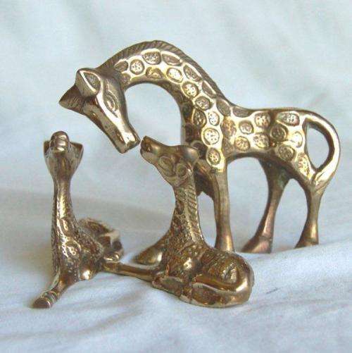 3 Solid Brass Giraffe - Tallest is 80mm - All sold as one lot