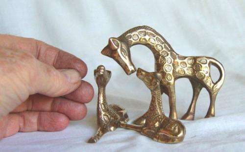 3 Solid Brass Giraffe - Tallest is 80mm - All sold as one lot