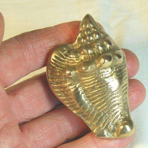 Solid Brass Sea Shell - Length 70mm