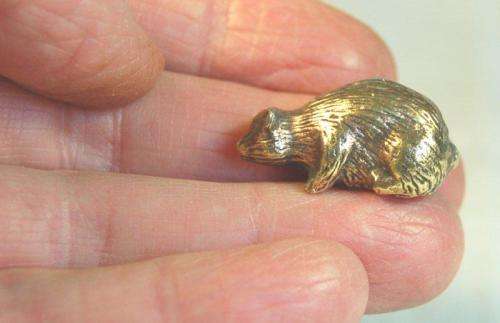 Selection of 12 Solid Brass Printers Tray Animals - See Pictures and Description - Sold as one lot.