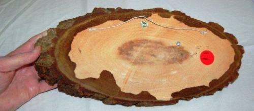 Copper Ox Wagon On Wood - Signed by John Louw in 1976 - Length 360mm Height 170mm