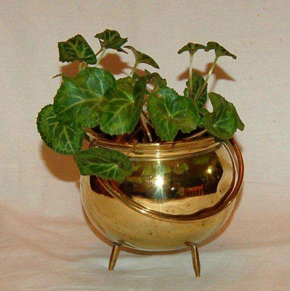 Brass Potjie Pot Plant Holder - 130mm High and Diameter 120mm