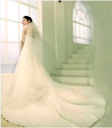 2013 Bridal Gowns Wedding dresses 2 meters large tail adjustable corset Strapless bride dress