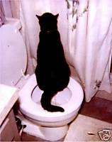 HOW YOU TO CAN TRAIN YOUR CAT OR CATS TO USE THE TOILET