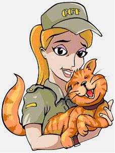 (-: CAT kitty SNACKS TIPS recipes EBOOK .:**:.