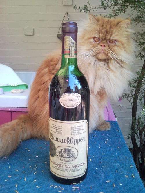 RARE 1984 BLAAUWKLIPPEN  CABERNET SAUVIGNON WINE SEALD