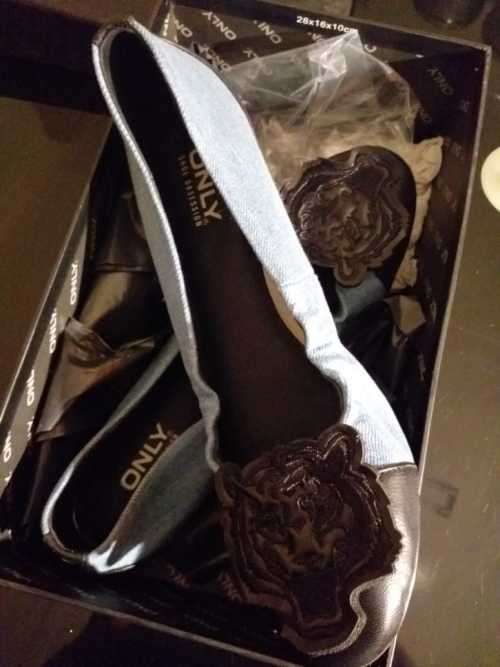 Cora Embroidery Ballerina (Only Geniune Leather shoes)