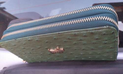 Brat & Scot Green Double Zipper Snake Purse