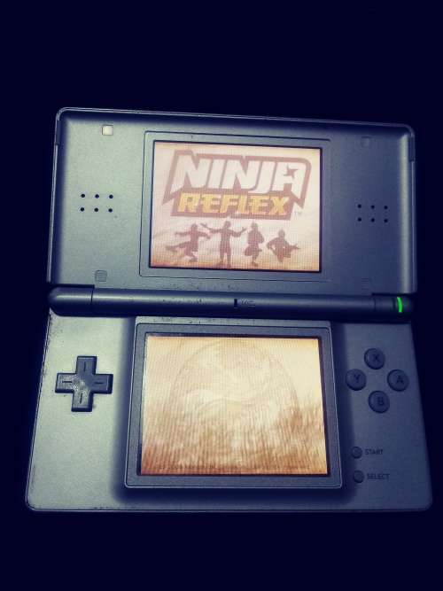 Nintendo 3DS and DS.