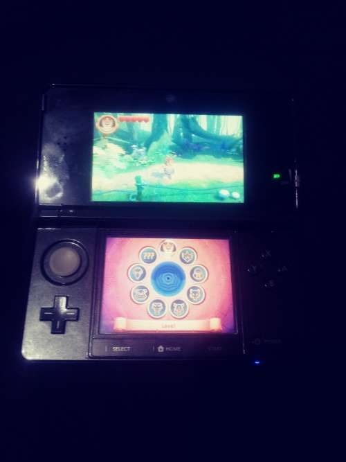 Nintendo 3DS and DS.