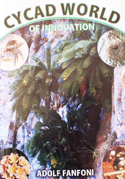 Cycad World Of Innovations