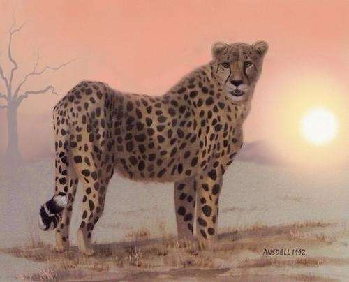 *AFRICAN CHEETAH AT DAWN - BEAUTIFUL CANVAS PRINT*