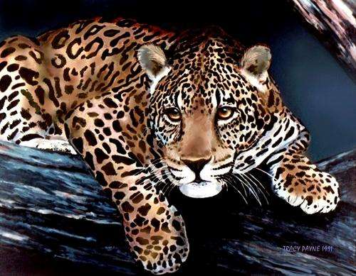 *LEOPARD IN TREE* BEAUTIFUL CANVAS PRINT or STUNNING BOARD PRINT OF ORIGINAL OIL
