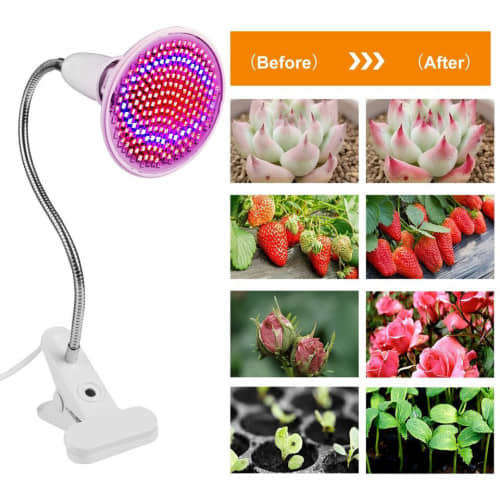 LED Clip Grow Light Full Spectrum Grow Light For Indoor Hydroponic Plants