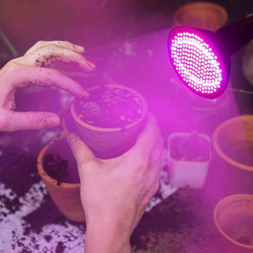 LED Clip Grow Light Full Spectrum Grow Light For Indoor Hydroponic Plants