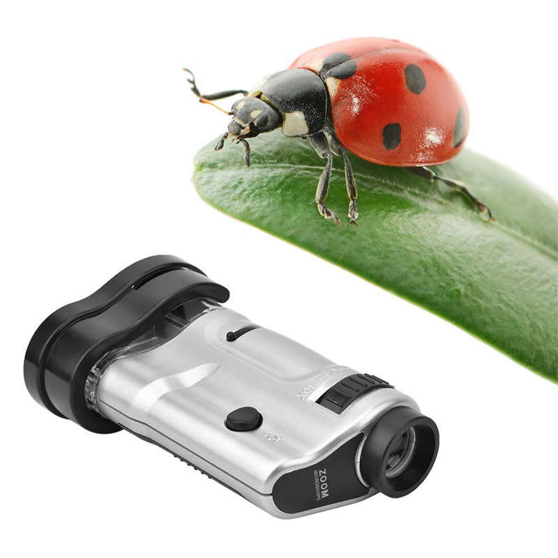 Multifunctional LED Microscope Magnifier 20-40x Observation Magnification Illuminated Handheld