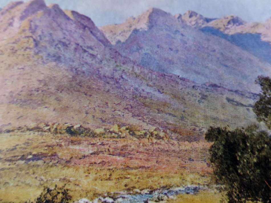 TINUS DE JONGH - GROOT TREK