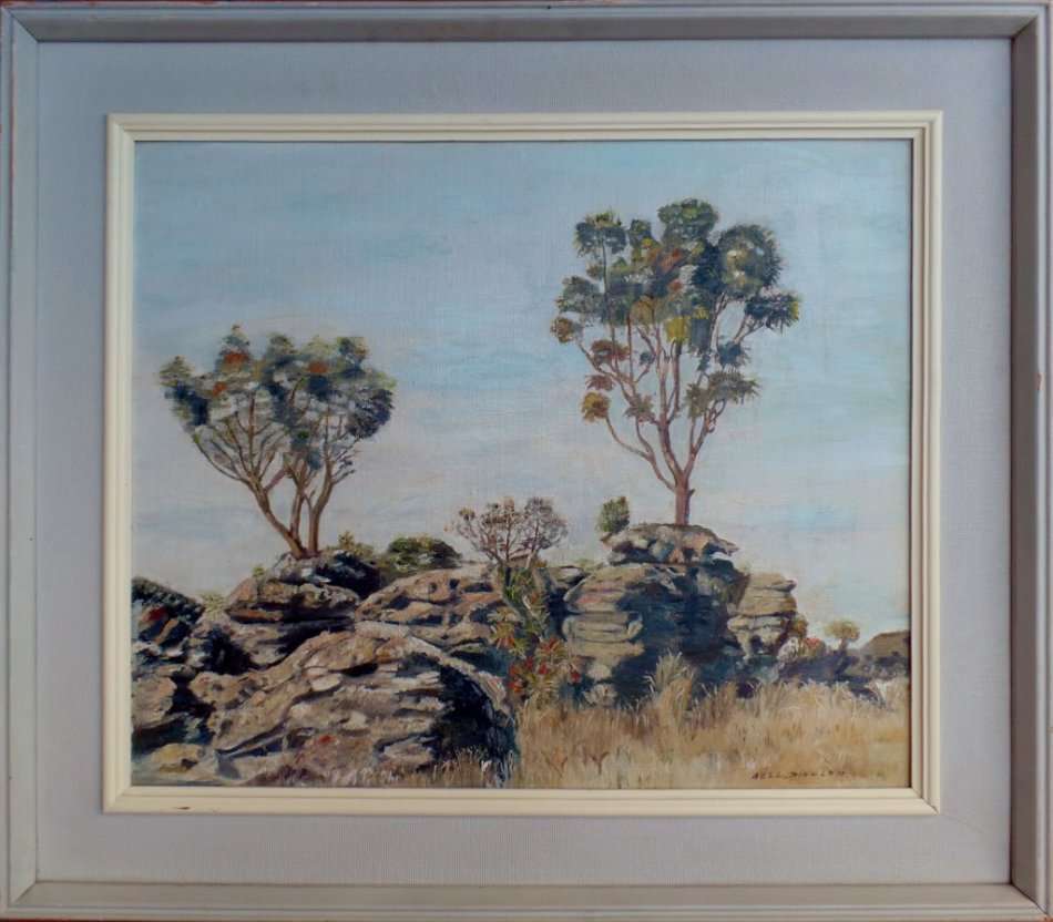 NELL DINGLER - EASTERN TRANSVAAL NEAR GRASKOP - LARGE