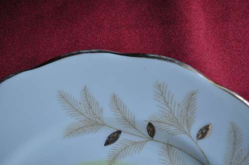 Royal Albert "Montrose" 1 x Large Cake Plate, 6 x Standard Size Cake Plates