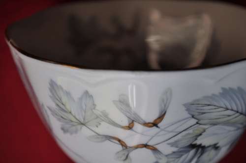 Royal Albert "Silver Maple" 39 Piece Tea Set  --  Collections or Courier Please!!