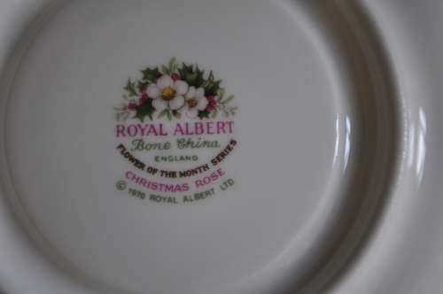 Royal Albert Flower Of The Month December "Christmas Rose" Duo