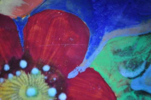 Royal Doulton D6227 Wild Rose Scalloped Dish